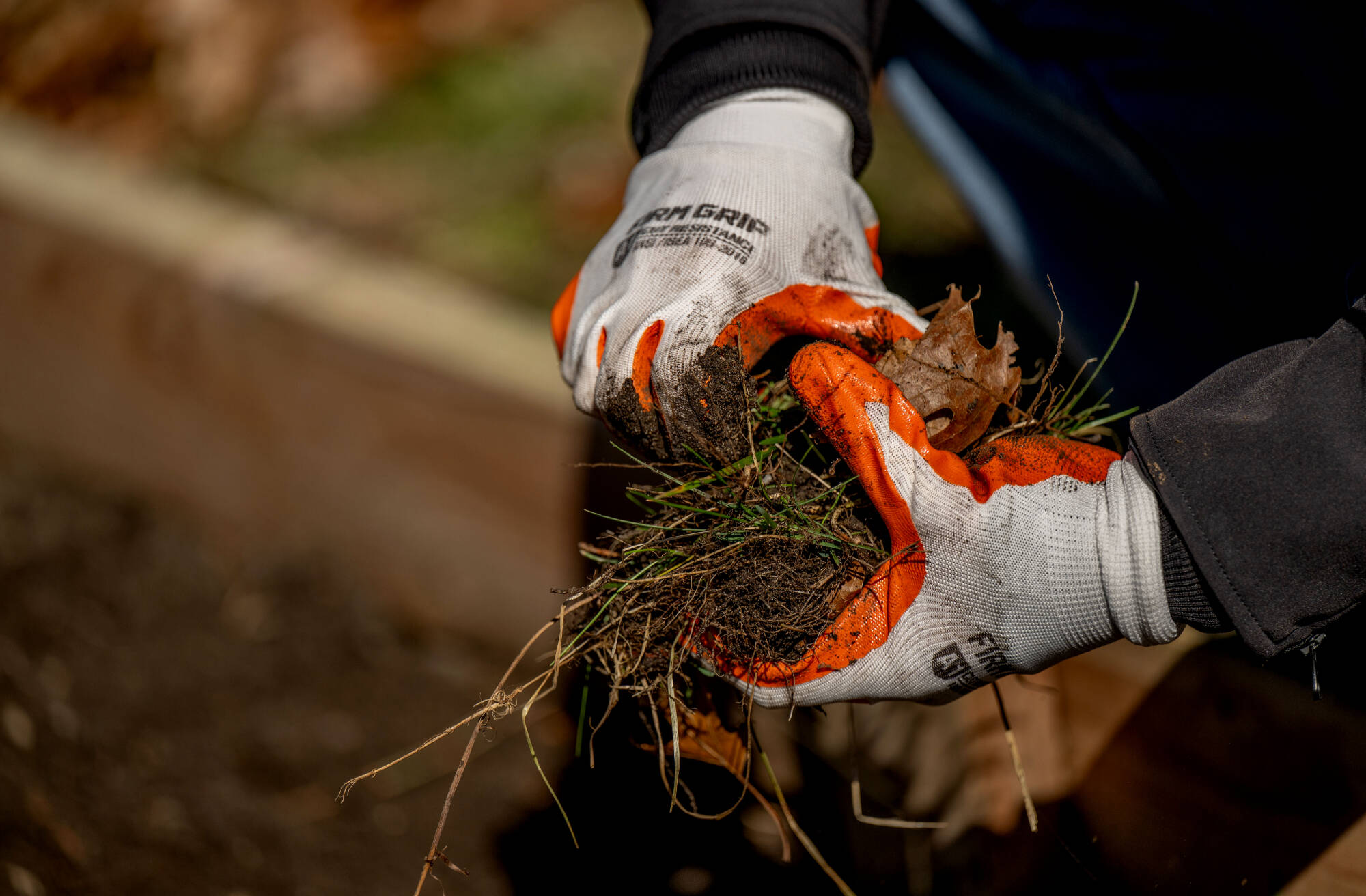 dirt and leaves in hand